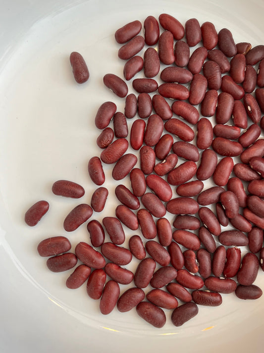 Kidney Beans 100g