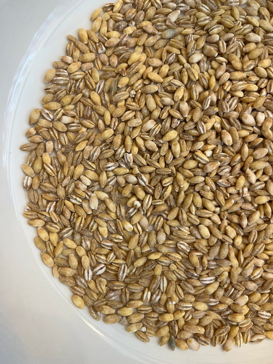 Pearl Barley 100g