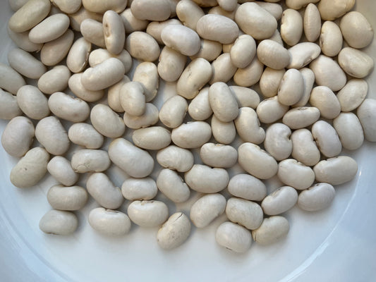 Canellini Beans 100g