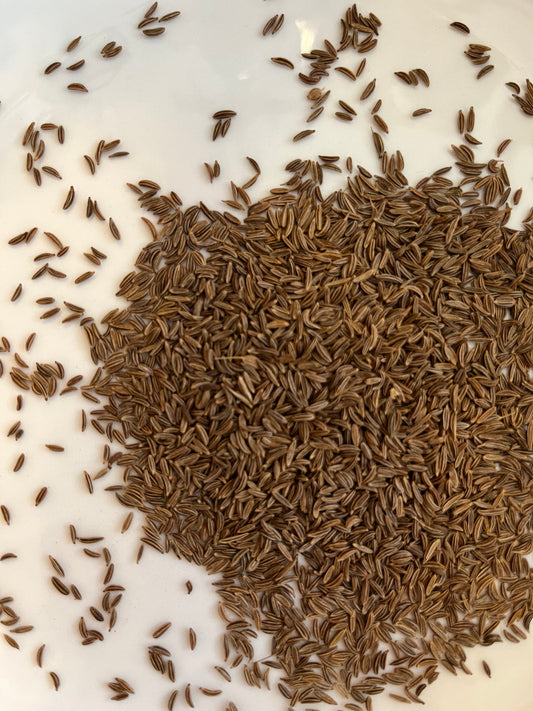 Caraway Seed 10g